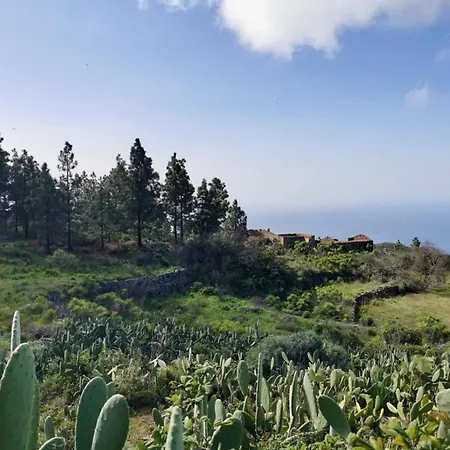 Tierrazul Art Boutique Rose Sweet Costa Adeje (Tenerife)