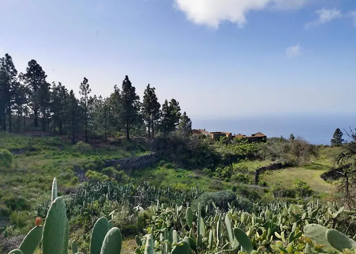 Tierrazul Art Boutique Rose Sweet Costa Adeje (Tenerife)