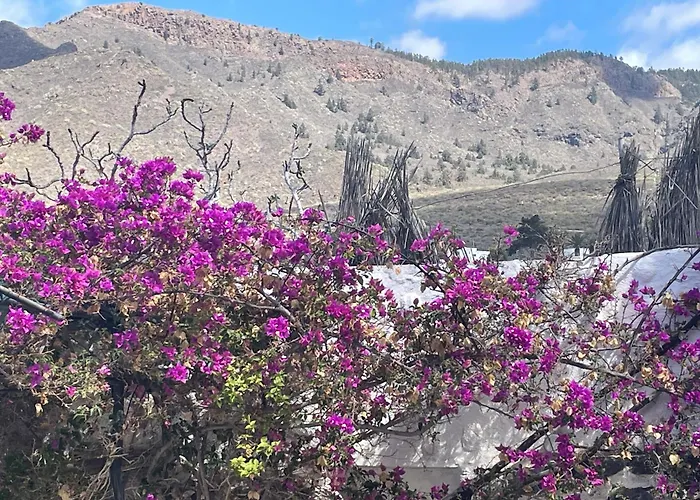 Tierrazul Art Boutique Rose Sweet *